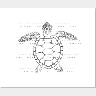 Sea Turtle Posters and Art